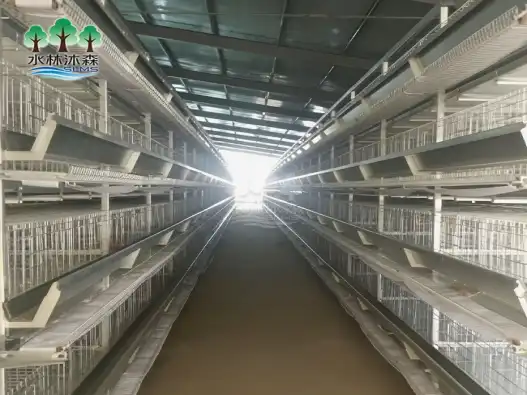 What Is a Three-Tier Broiler Cage System?